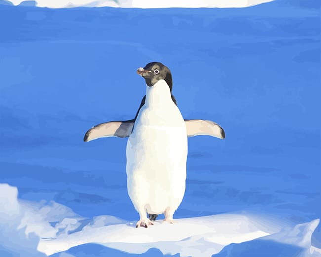 

Funny Penguin- Paint By Numbers - 40*50CM, 501 Original