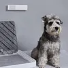 Petkit Pura Air Smart Odour Eliminator Air Purifier