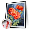 Painting By Numbers - DIY Flower(40*50cm)