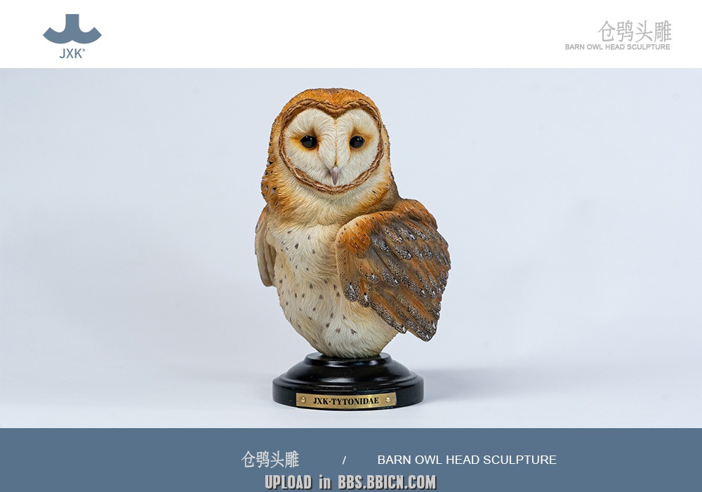 JXK - Barn Owl Head Sculpture SA005 (Licensed)-