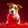 Love Dog Cat-Full Round Diamond Painting 30*30CM