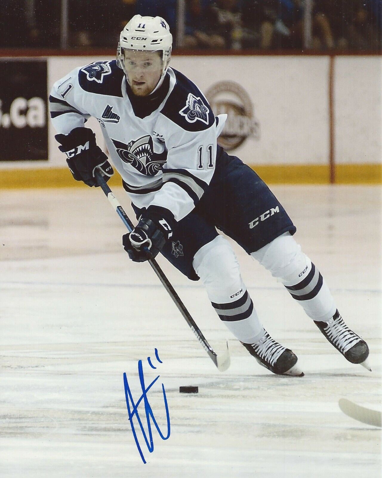 Alexis Lafreniere Signed 8×10 Photo Poster painting Rimouski Oceanic Autographed COA D