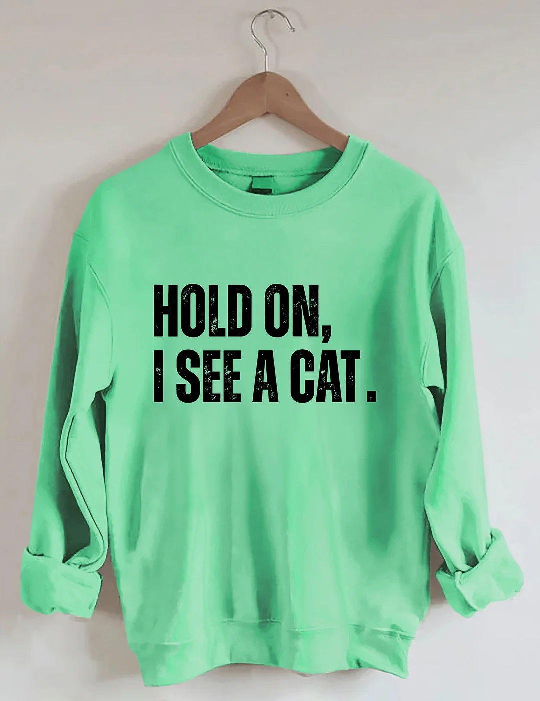 Hold On I See A Cat Sweatshirt