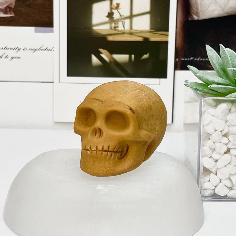 Natural Crystal Skull Collection
