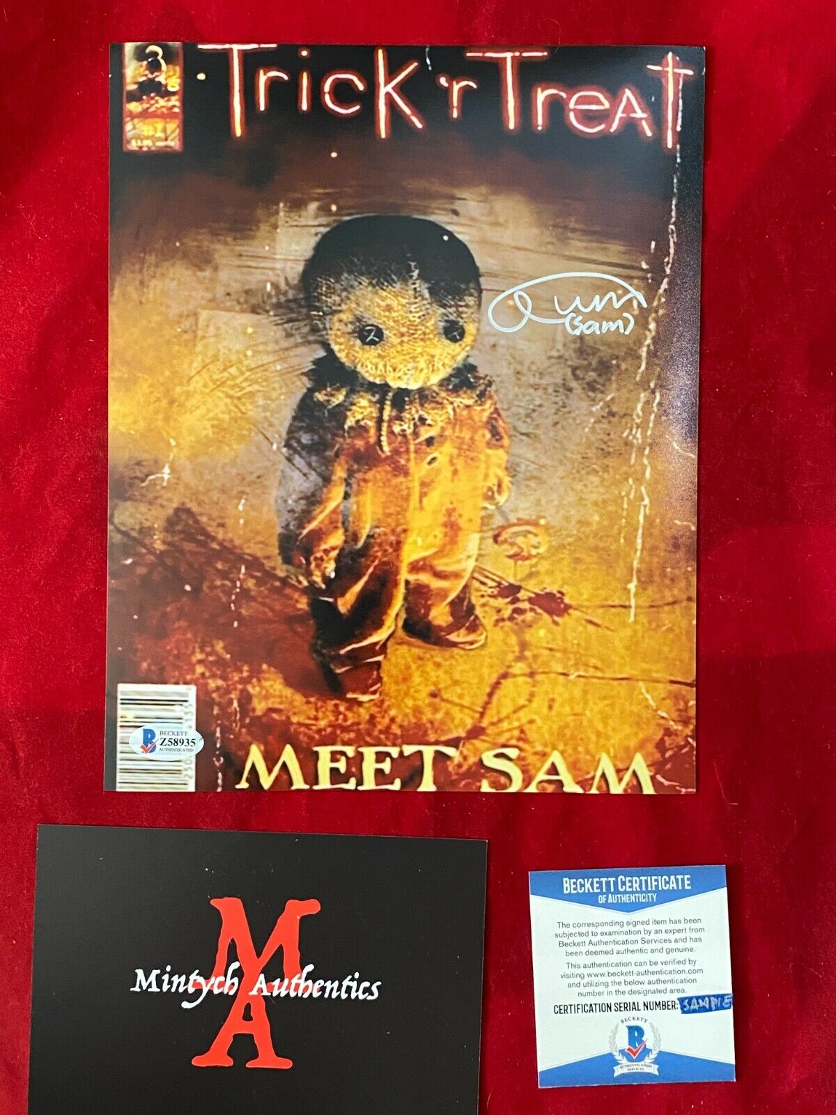 QUINN LORD TRICK 'R TREAT AUTOGRAPHED SIGNED 8x10 Photo Poster painting! BECKETT! HORROR! SAM!