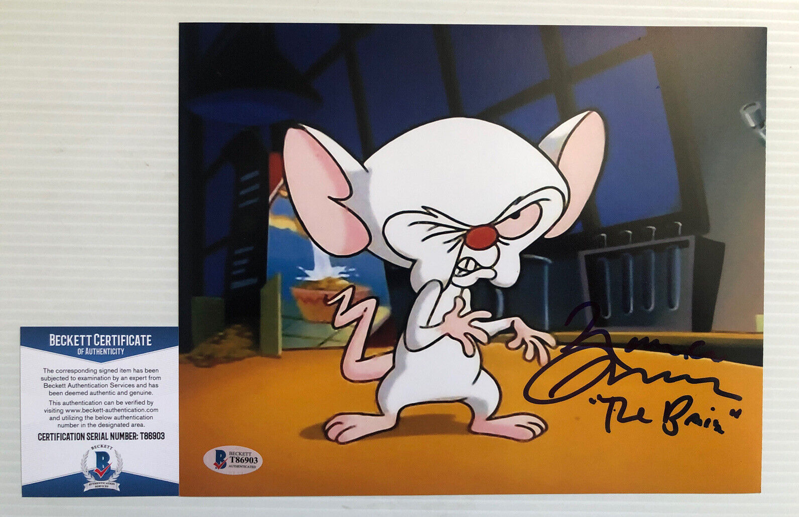 Maurice Lamarche Signed 8x10 Photo Poster painting Pinky and Brain BECKETT COA 1