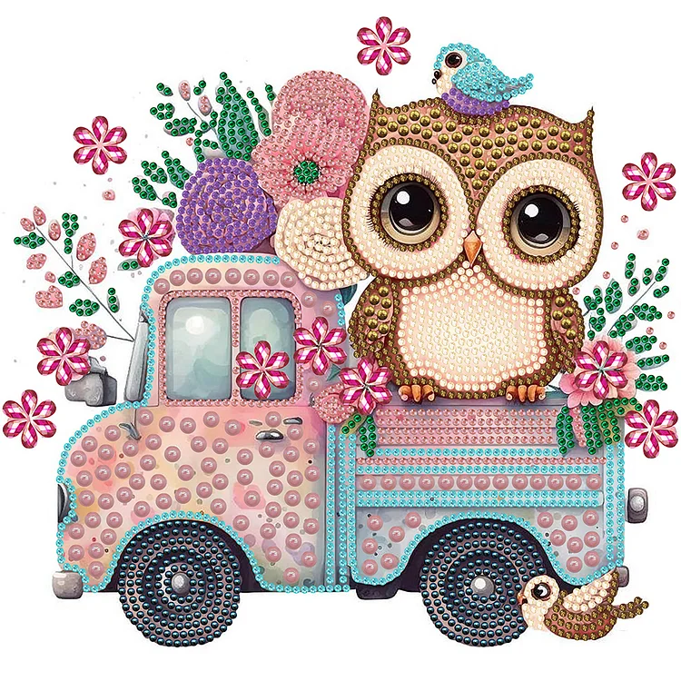 Partial Drills Special-shaped Drill Diamond Painting -Pink Owl Car - 30*30cm