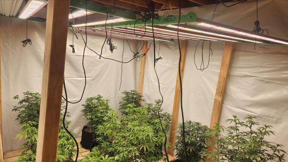 Boost Your Plant Growth with Aurora 40 UV/IR Supplementary Light – A Complete Guide