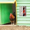 Chicken Warning - Vintage Metal Signs(8*12Inch/12*16Inch) - Chicken
