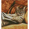 (US Only)Cat Stamped Cross Stitch Kit for Beginner Home DIY 14CT Embroidery Kit 44x50cm