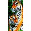 Diamond Painting - DIY Full Round Drill Tiger(85*45 CM)