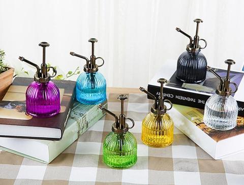 Glass Plant Mister Spray Bottle in Vibrant Colors