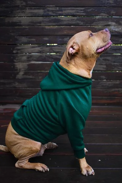 Atrovirens Matching Dog and Owner Hoodies
