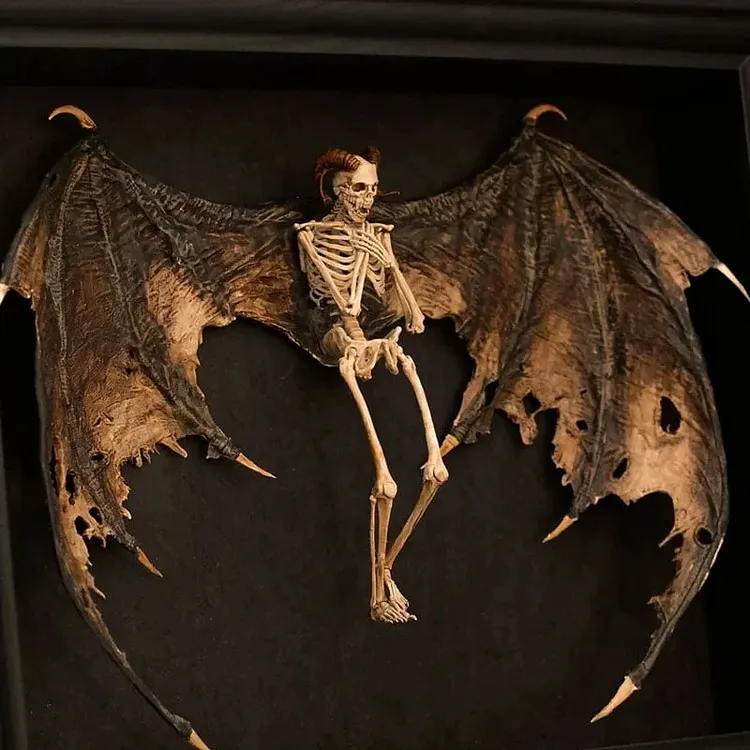 Bat winged demon skeleton
