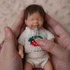 Babiesprincess Lifelike Reborn Baby Doll, Babiesprincess