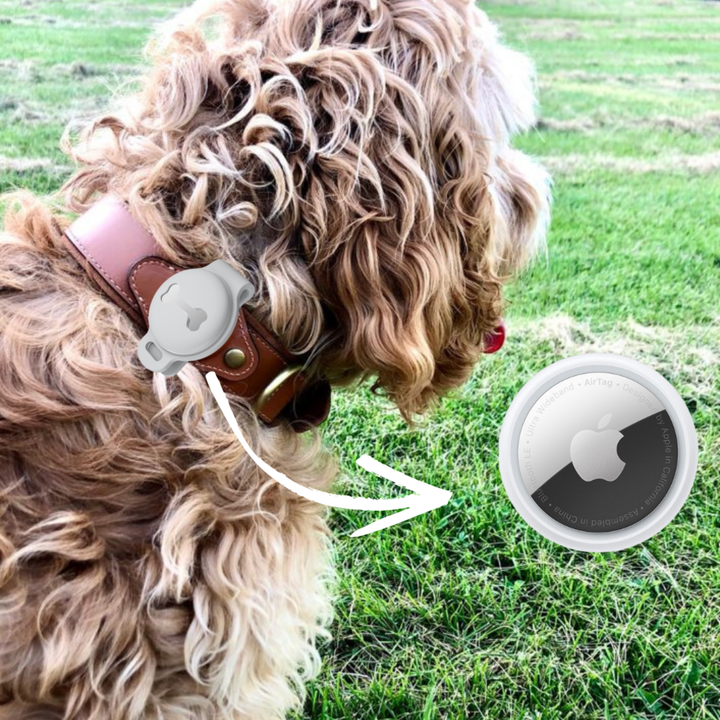 Apple AirTag, Dog Tag Tracking for your Pet's, Dog Collar