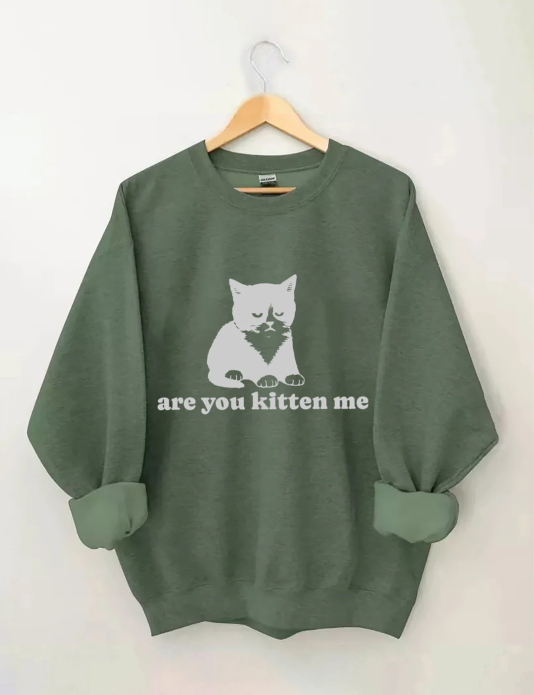 Are You Kitten Me Sweatshirt