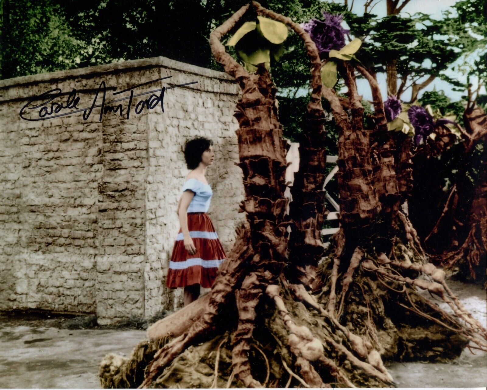 The Day of the Triffids movie Photo Poster painting signed by actress Carole Ann Ford