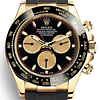 Rolex 116518LN Daytona Intense Black and champagne-colour - New