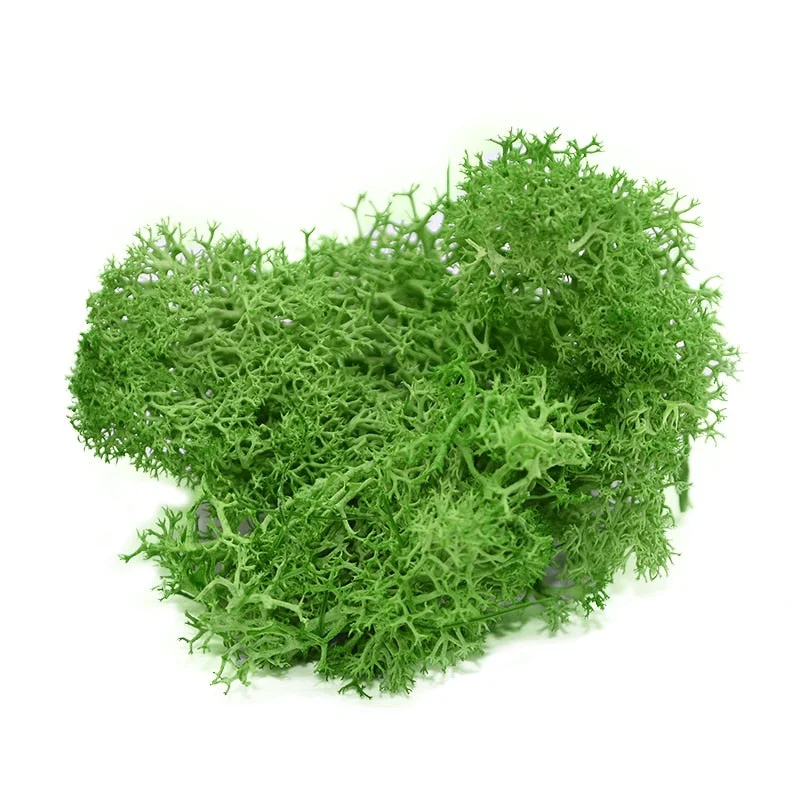20g Artificial Plant Eternal Life Moss Garden Home Decoration Wall DIY Flower Material Mini Garden Micro Landscape Accessories
