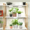 Full Spectrum Ceiling Grow Light 3/9/12H Timer LED Plant Light for Indoor Plants