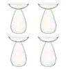 Avocado Seed Starter Vase Transparent Glass Avocado Tree Flower Vase for Balcony