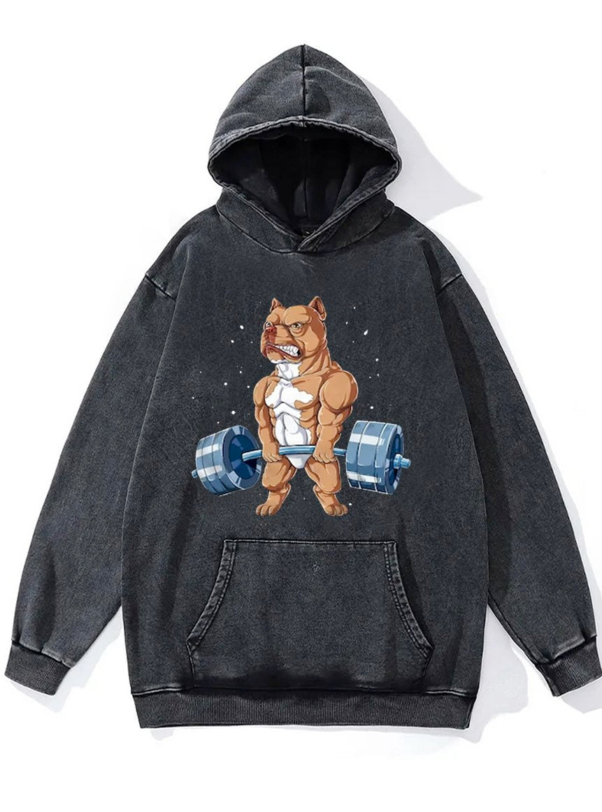 Pitbull Weightlifting Washed Gym Hoodie
