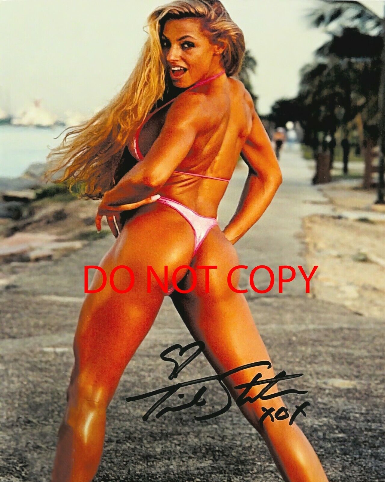 WWE - Trish Stratus - Autographed Signed 8x10 Photo Poster painting (WWE) Reprint