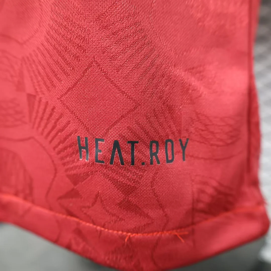 25/26 Bayern Munchen Anniversary Edition Player Version Men Football T-Shirt 