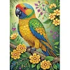 (US Local)Parrot-Crystal Rhinestone Diamond Painting