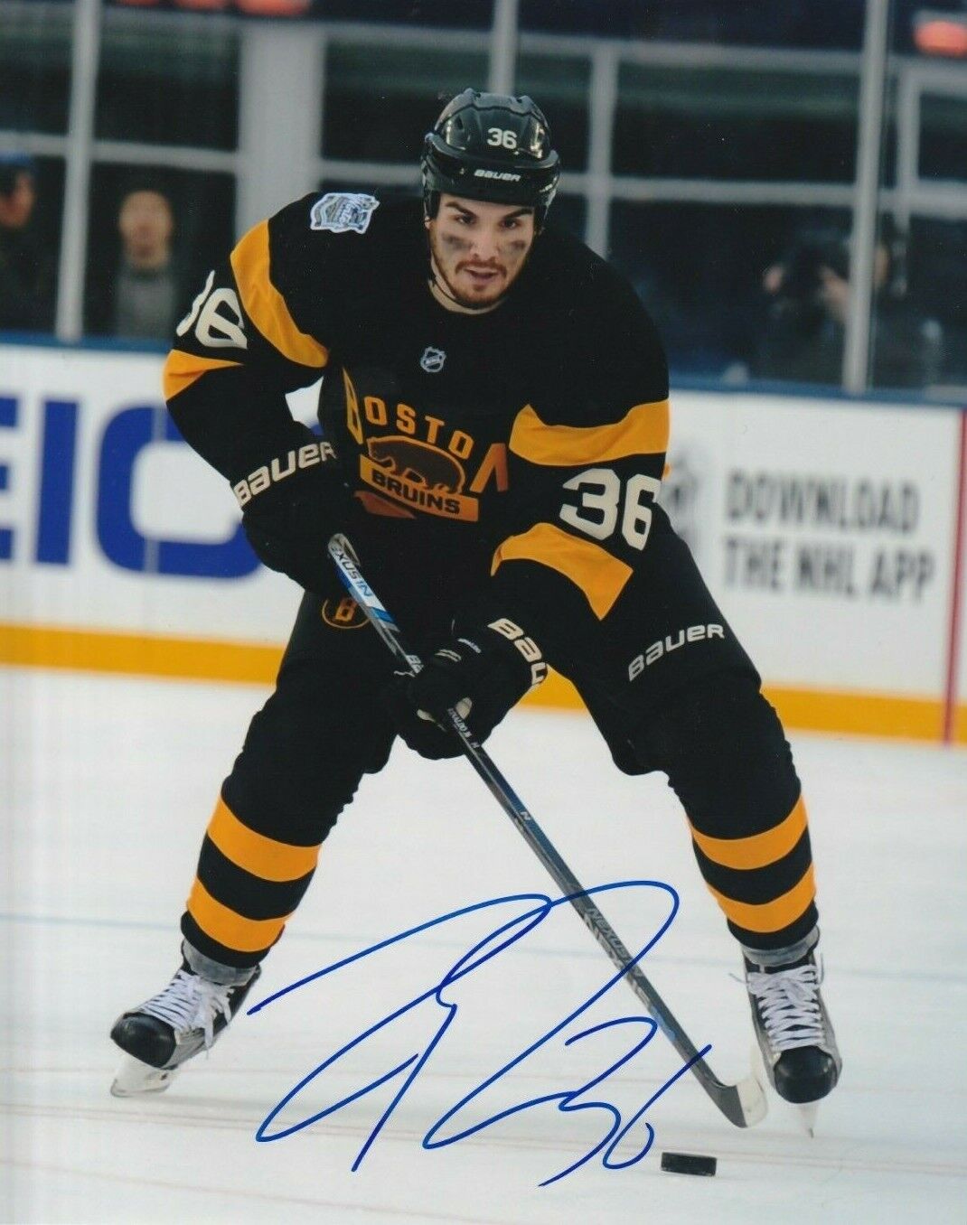 ZAC RINALDO autographed SIGNED BOSTON BRUINS 8x10 Photo Poster painting