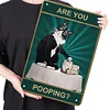Cat Are You Pooping - Vintage Metal Signs - 20*30cm/30*40cm