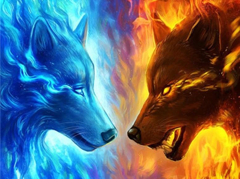 

Fire and Ice Wolf – Paint By Numbers - 40*50CM, 501 Original