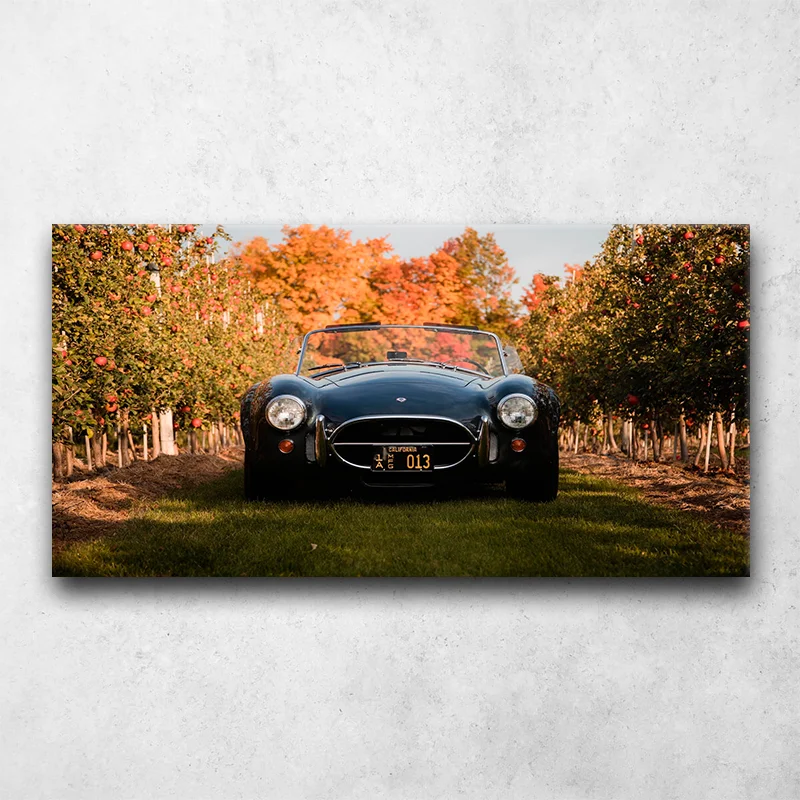 Canvas Wall Art