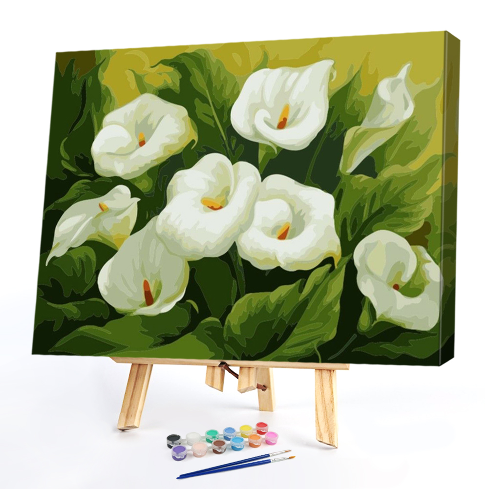 

40*50CM Paint By Numbers-Flower, 501 Original