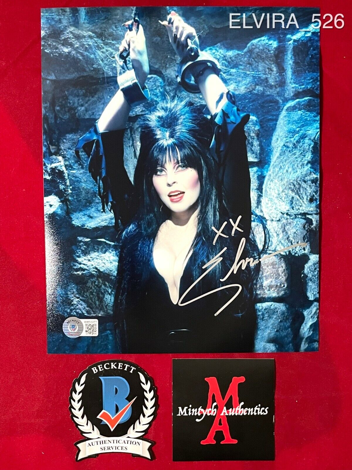 ELVIRA CASSANDRA PETERSON AUTOGRAPHED SIGNED 8x10 Photo Poster painting! BECKETT COA! HORROR!