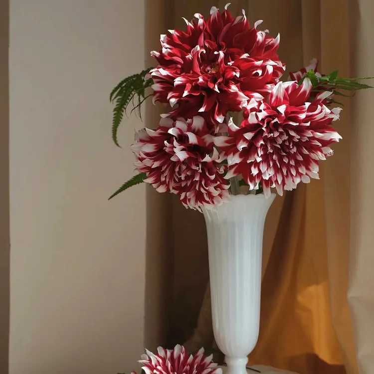 🌺Dahlia seeds - Element x