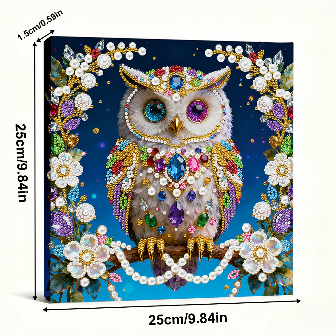 Owl DIY Pearl Art Diamond Painting Kit for Adults Home Decor 25x25cm With Frame