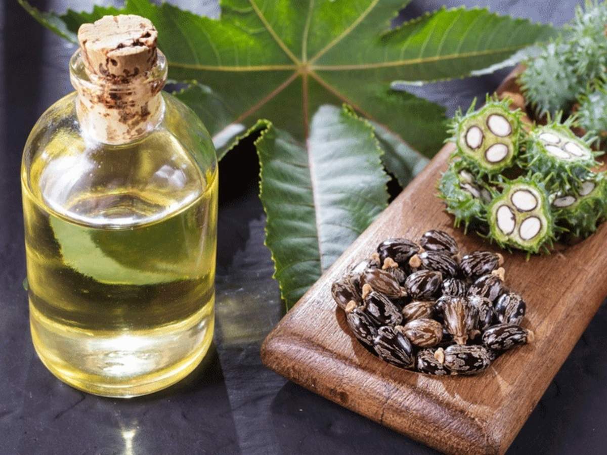 benefits of castor oil, ಹರಳೆಣ್ಣೆ ಇದ್ರೆ ಸುಲಭವಾಗಿ ಹೊಟ್ಟೆಯ ಕೊಬ್ಬು ಕರಗಿಸಬಹುದು!  - how to use castor oil to burn belly fat fast - Vijaya Karnataka