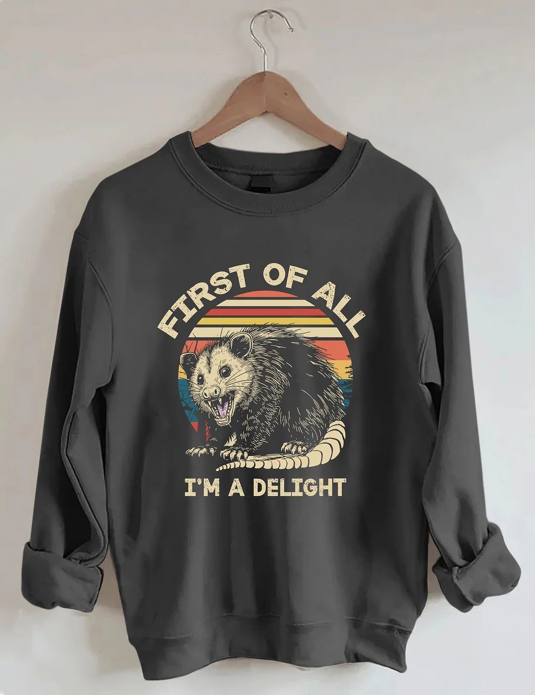First Of All I'm A Delight Sarcastic Angry Opossum Lover Sweatshirt