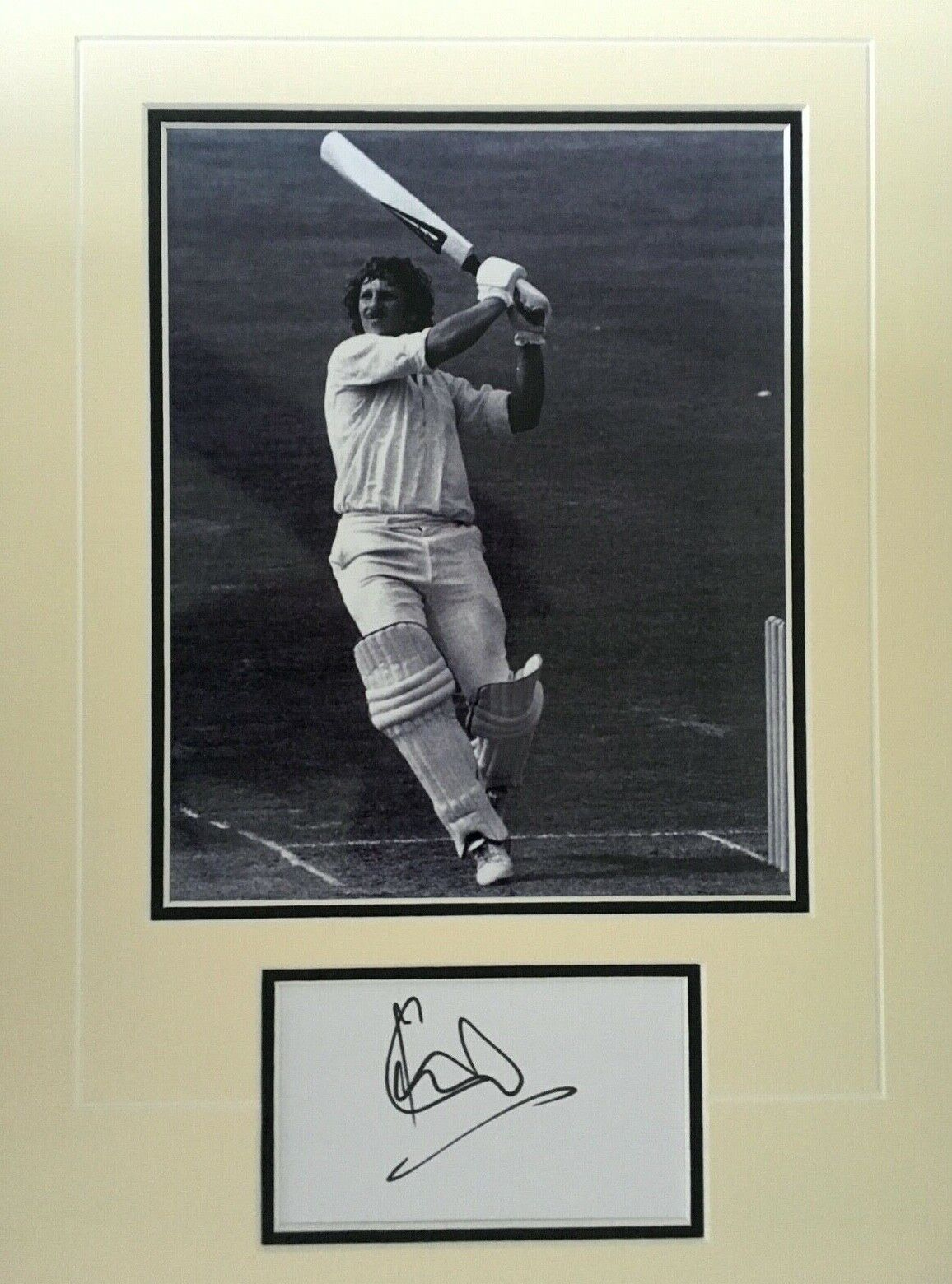 IAN BOTHAM - ENGLAND CRICKETING LEGEND - EXCELLENT SIGNED Photo Poster painting DISPLAY