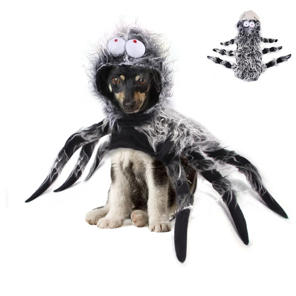 Funny Dog Spider Halloween Costume-elleschic