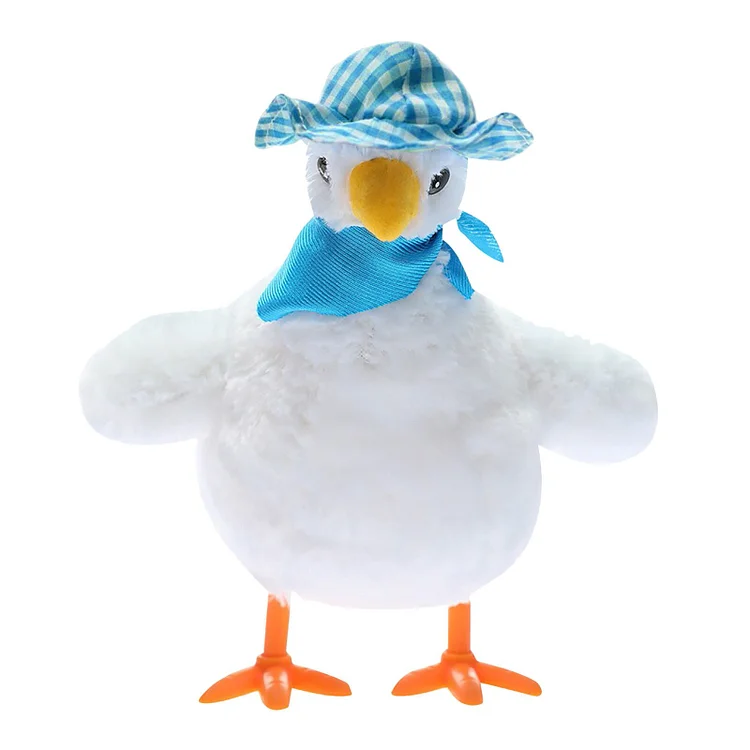 The Magic Chicken