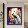 White Peacock Full Stamped Cross Stitch Kit 11CT 3-Strand 50x65cm Animal Series