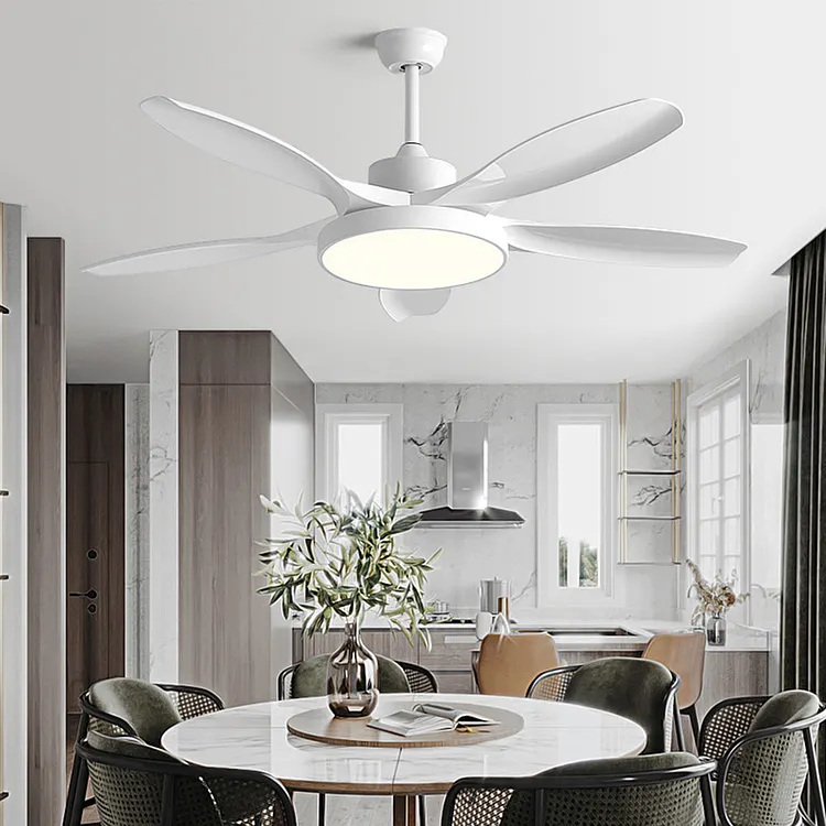 Ozawa Basic & 5-Blade DC Ceiling Fan with Light Wooden 51''