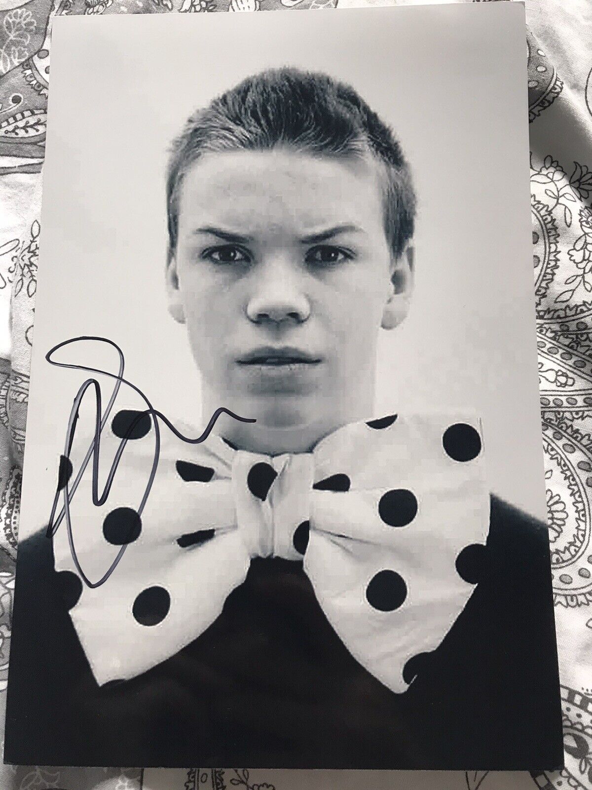 Will Poulter autograph - signed 9x6 Photo Poster painting - Narnia - Maze Runner - The Revenant