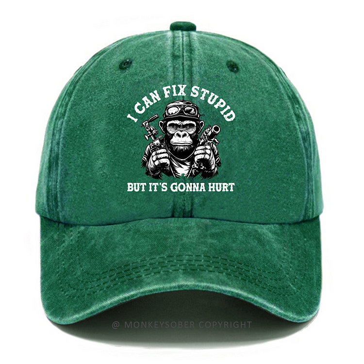 Personalized "I Can Fix Stupid But It's Gonna Hurt" Custom  Washed Baseball Caps