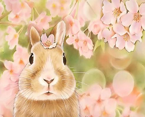 

Cute Rabbit – Paint By Numbers - 40*50CM, 501 Original
