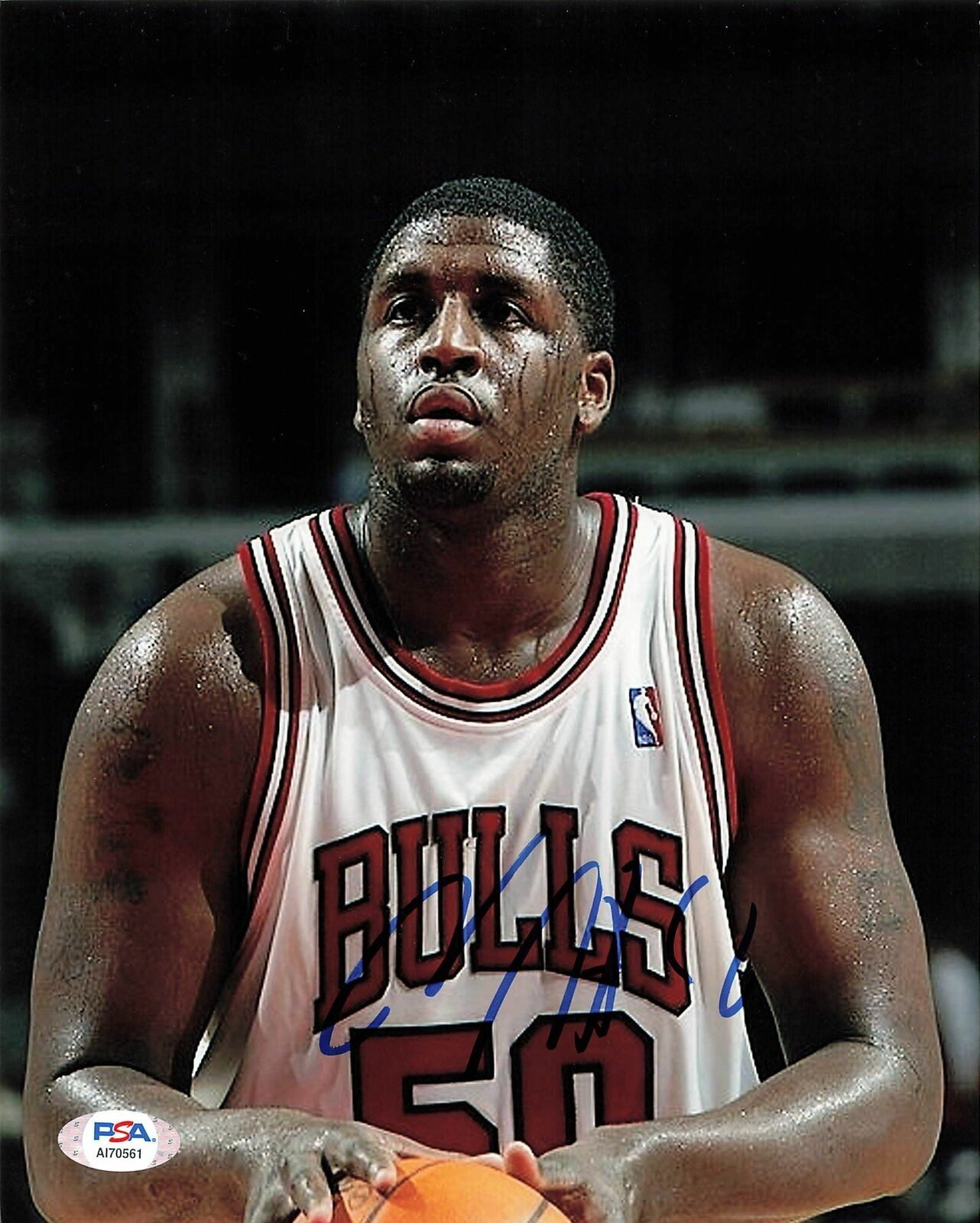 Mike Sweetney signed 8x10 Photo Poster painting PSA/DNA Chicago Bulls Autographed