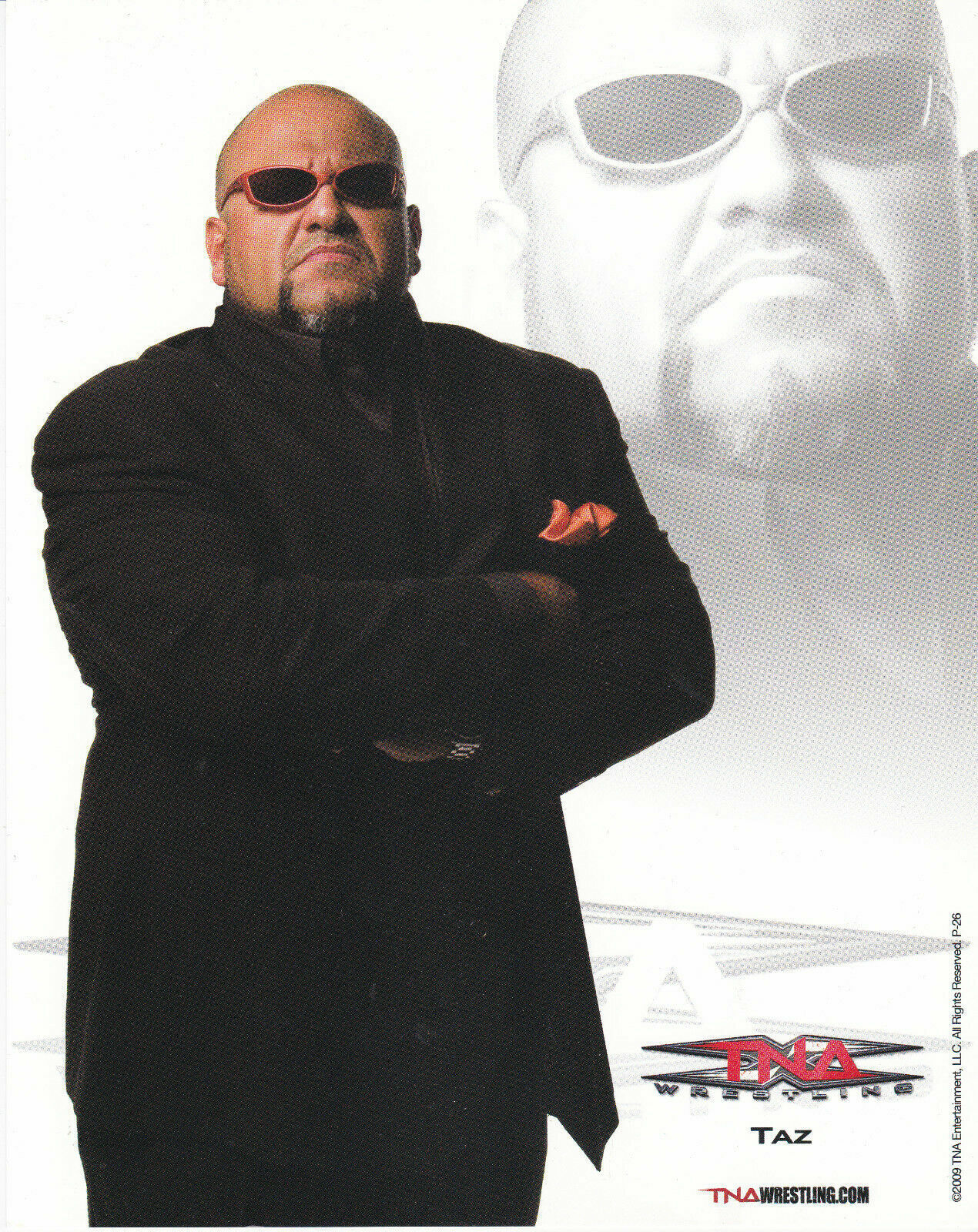 TNA TAZ P-26 OFFICIAL LICENSED 8X10 PROMO Photo Poster painting